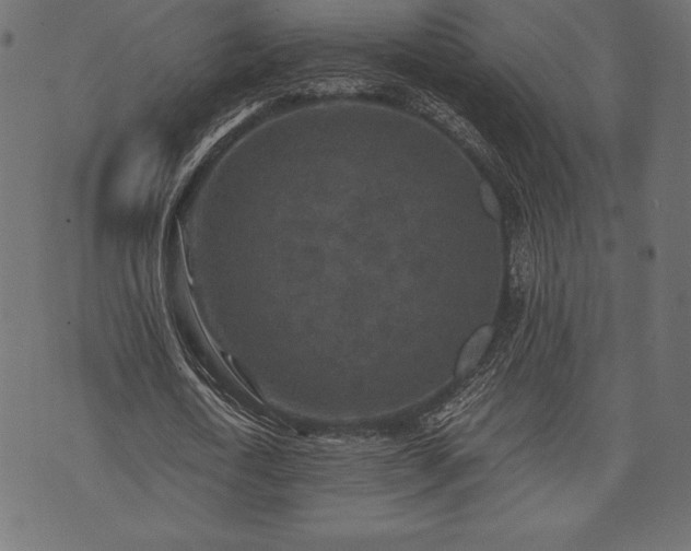 X0000073860722200608170941