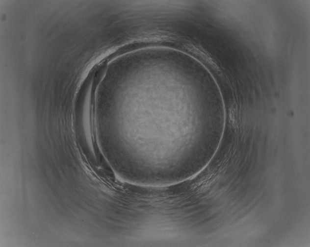 X0000073860724200608170941