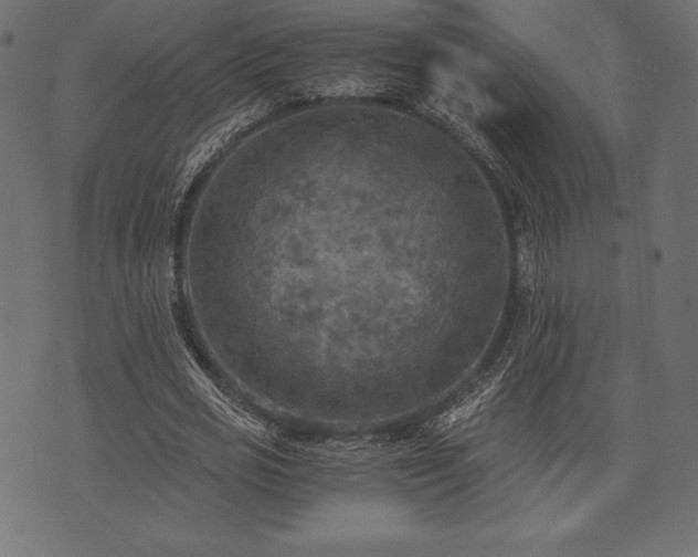 X0000073860725200608170941