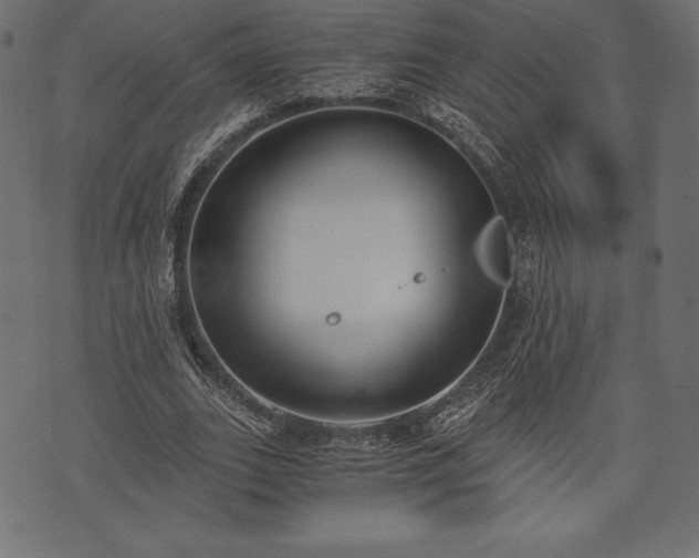 X0000073860727200608170941