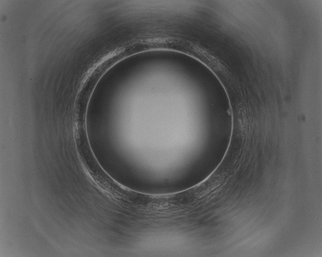 X0000073860728200608170942