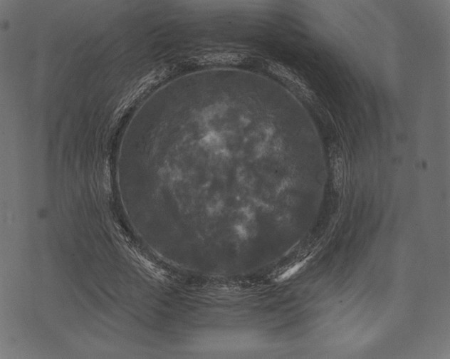 X0000073860729200608170942