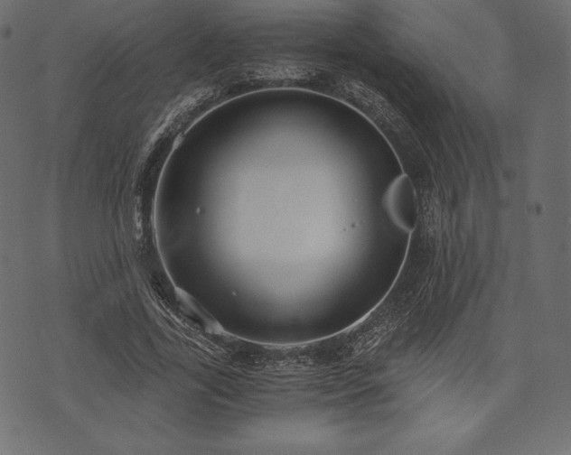 X0000073860731200608170942