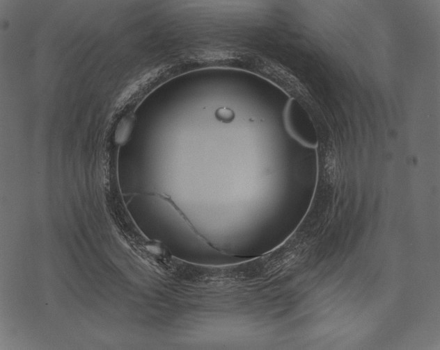 X0000073860732200608170942