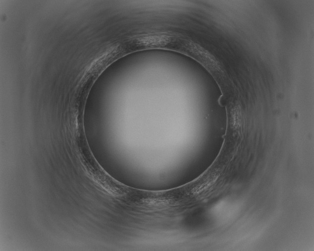 X0000073860733200608170942