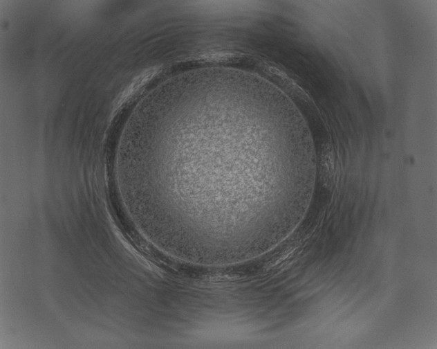 X0000073860734200608170942