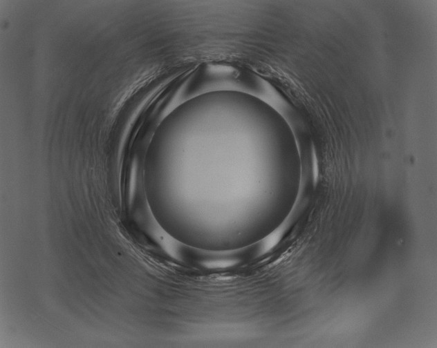 X0000073860735200608170942