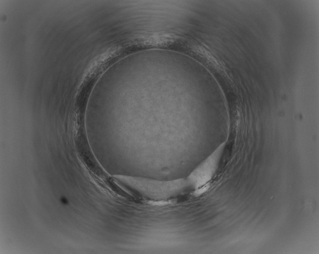 X0000073860736200608170942