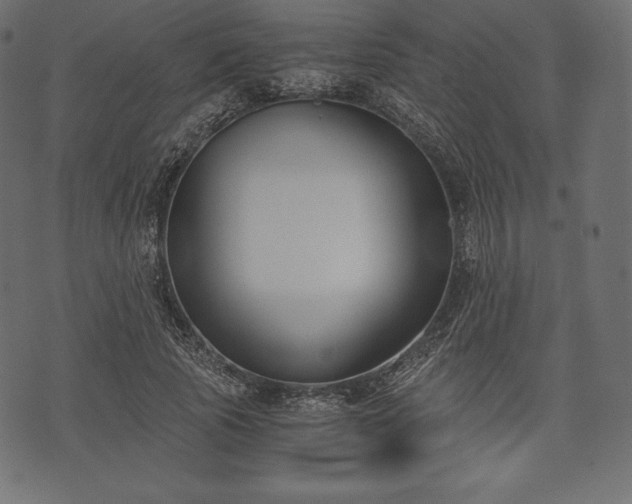 X0000073860737200608170942