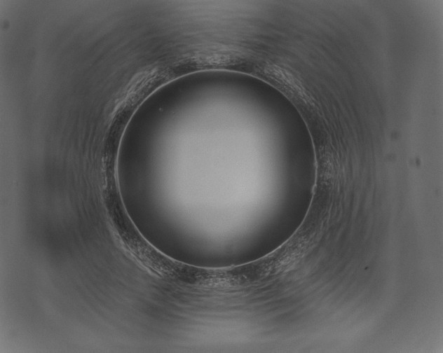 X0000073860738200608170942