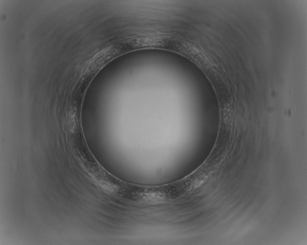 X0000073860741200608170942