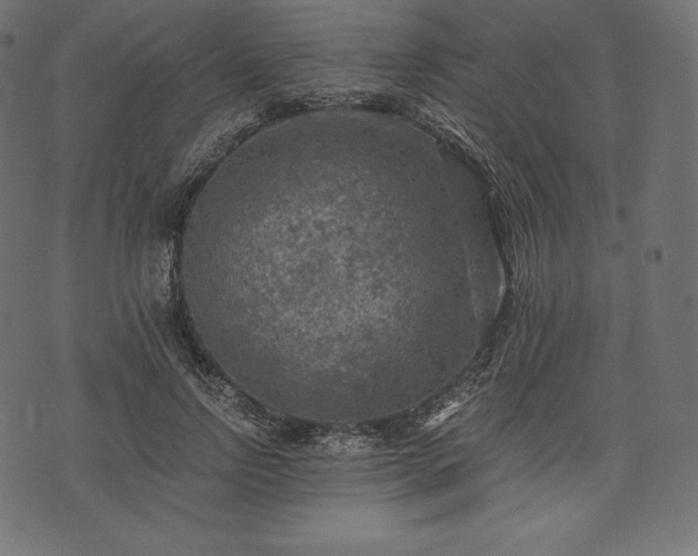 X0000073860742200608170942