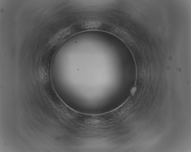 X0000073860743200608170942