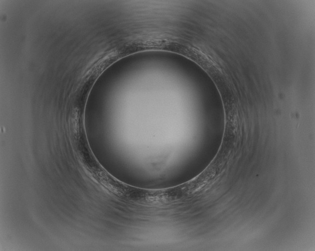 X0000073860744200608170942