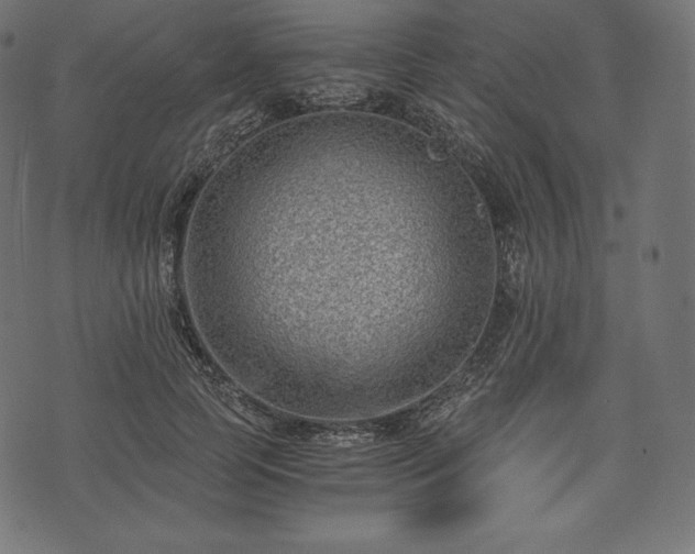 X0000073860745200608170942