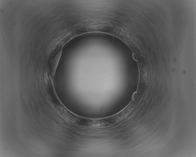 X0000073860746200608170942