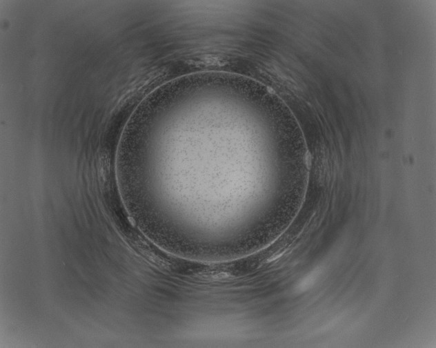 X0000073860747200608170942