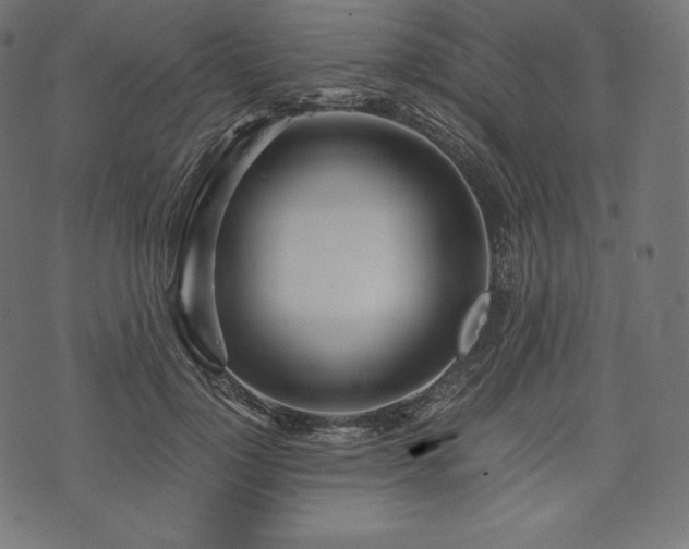 X0000073860748200608170942