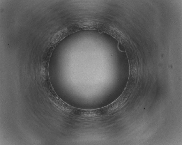 X0000073860749200608170942