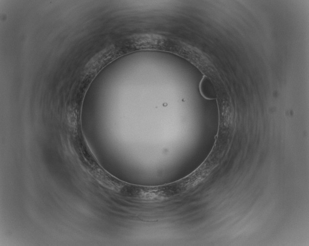 X0000073860753200608170942