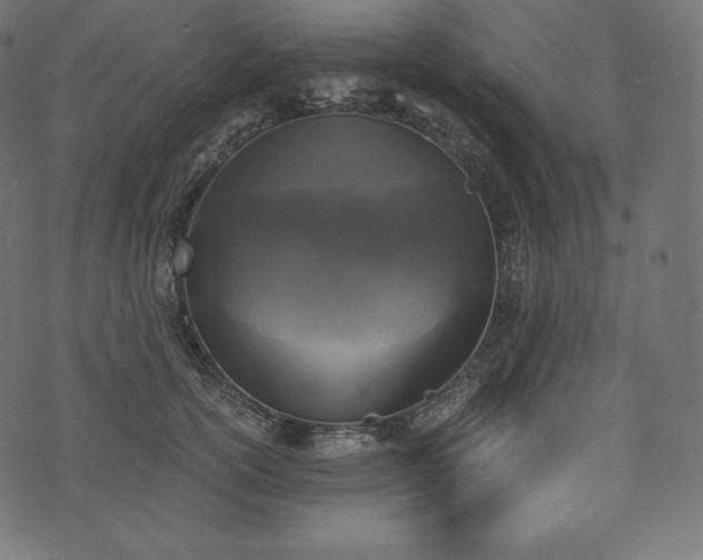 X0000073860754200608170942