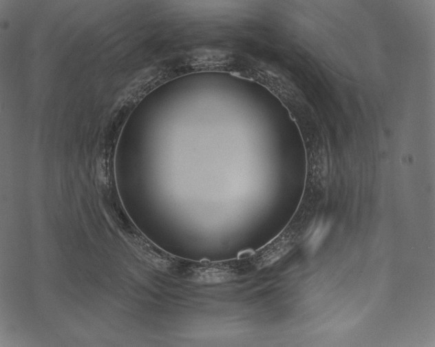 X0000073860755200608170942