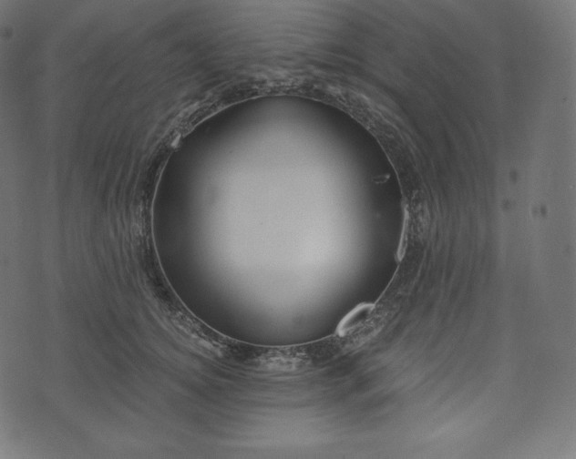 X0000073860756200608170942