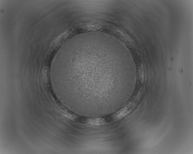 X0000073860757200608170942