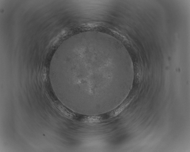 X0000073860758200608170942