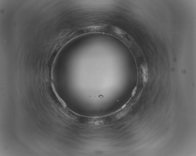 X0000073860760200608170942