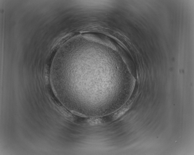 X0000073860762200608170942