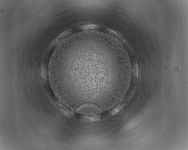 X0000073860763200608170942