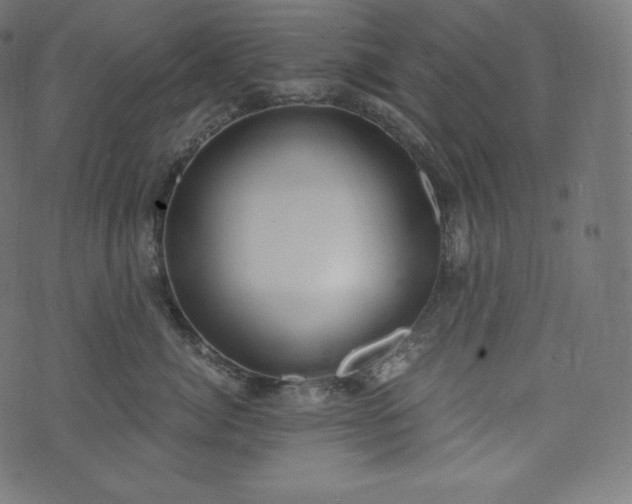 X0000073860764200608170942