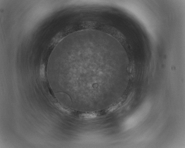 X0000073860765200608170942