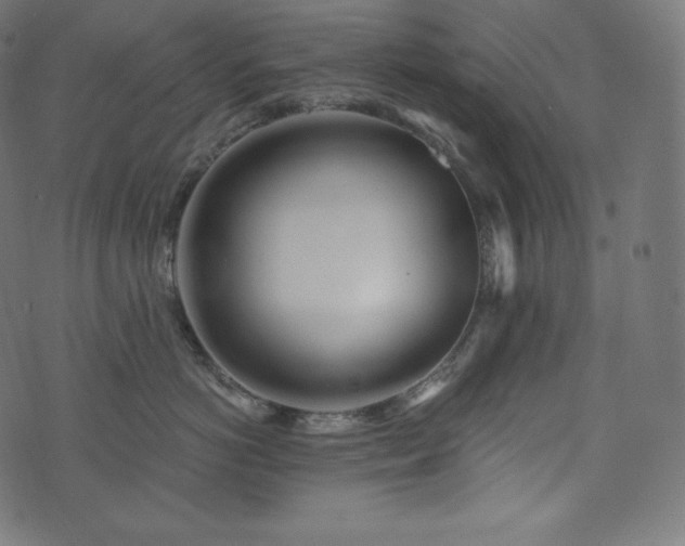 X0000073860766200608170942