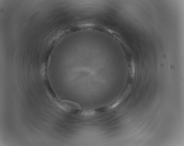 X0000073860767200608170942