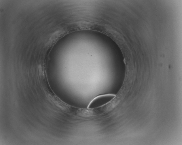 X0000073860768200608170942