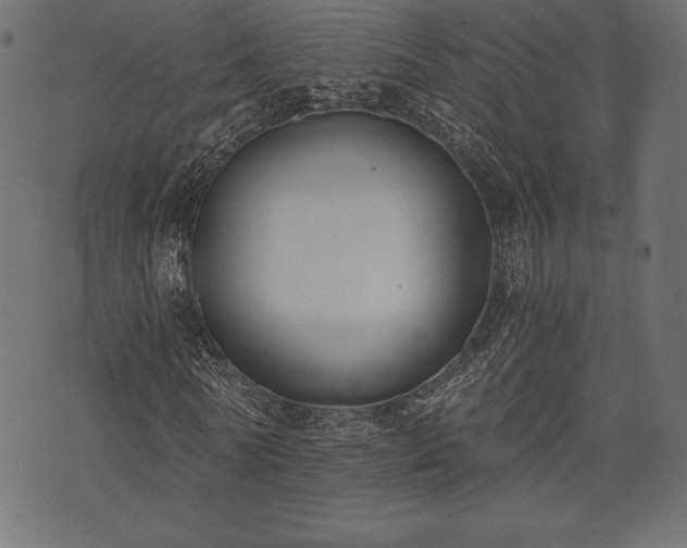 X0000073860770200608170941