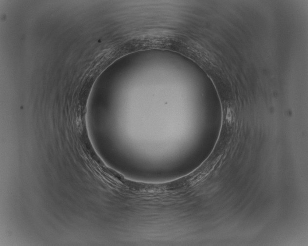 X0000073860771200608170941