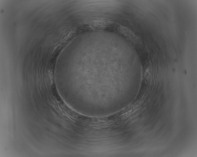 X0000073860772200608170941