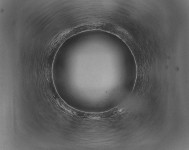 X0000073860773200608170941