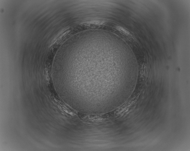 X0000073860774200608170941