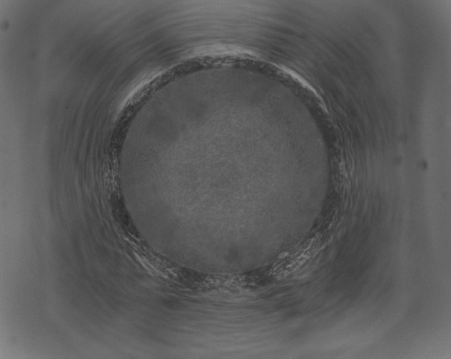 X0000073860775200608170941