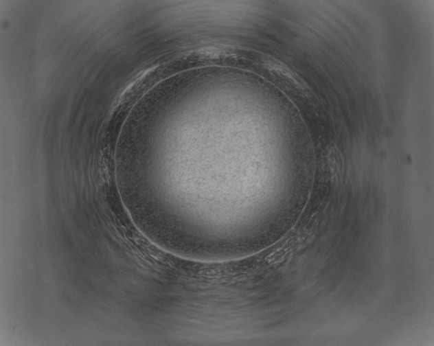 X0000073860776200608170941