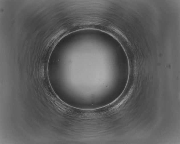 X0000073860777200608170941