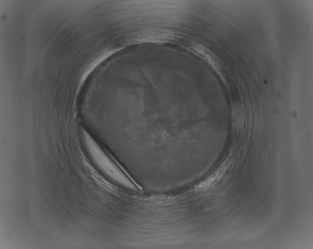 X0000073860779200608170941