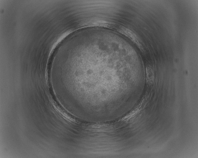 X0000073860780200608170941