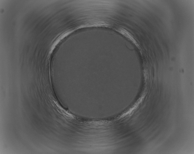 X0000073860781200608170941