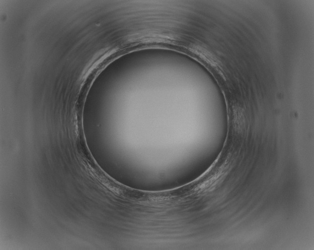 X0000073860782200608170941