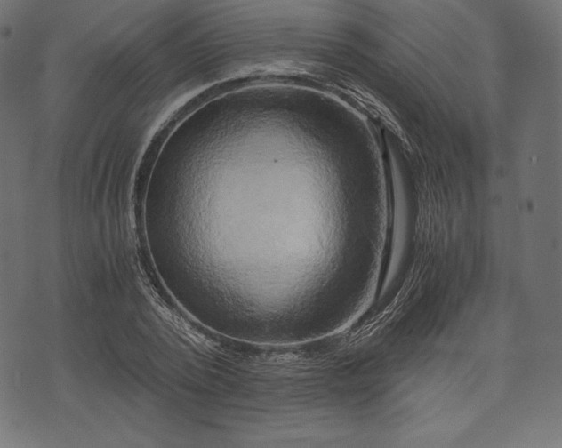 X0000073860784200608170941